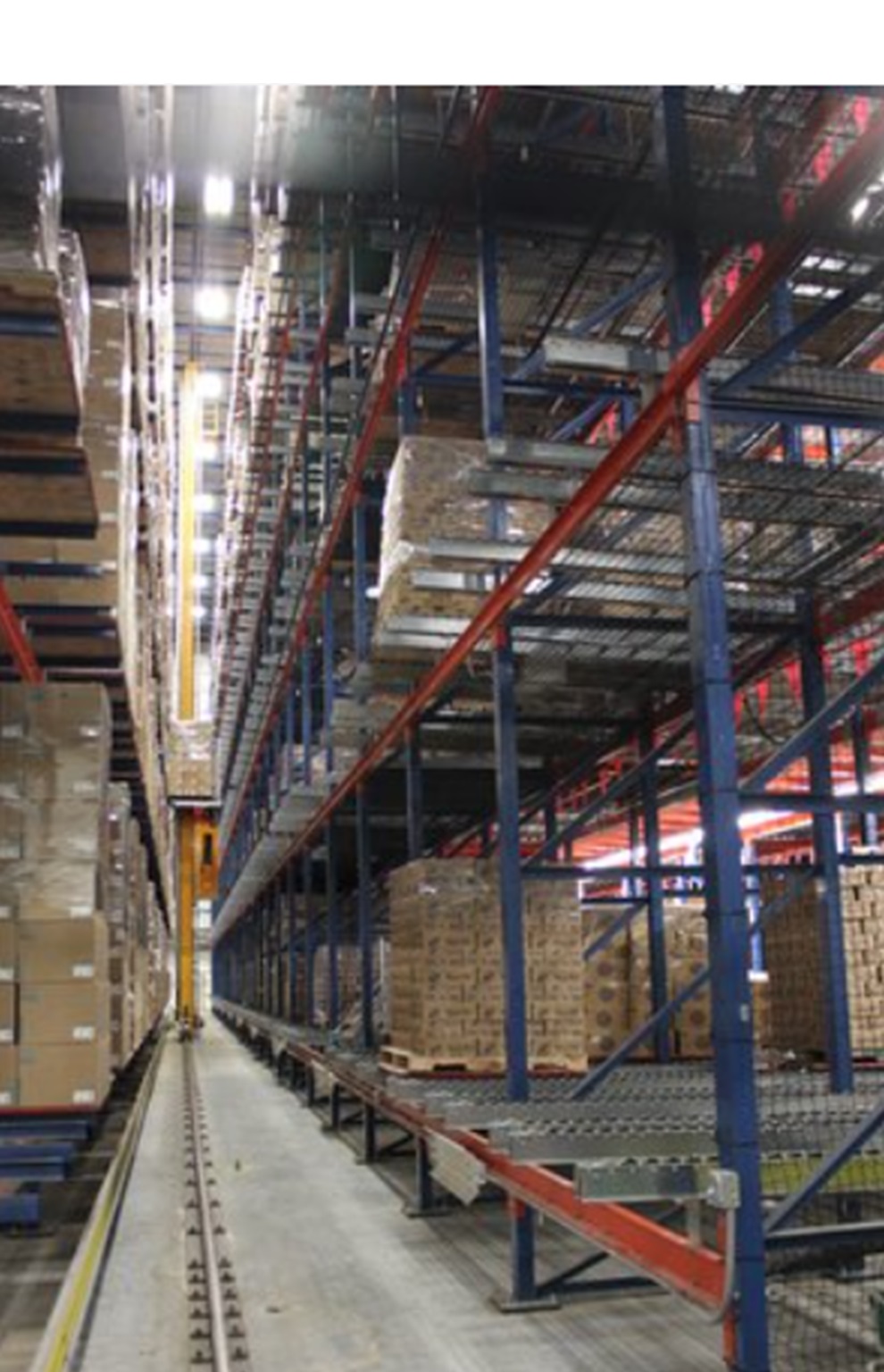 Dematic Automated Storage and Retrieval (ASRS)