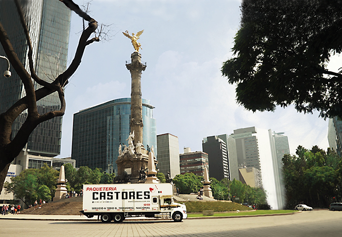 Paquetería y consolidado